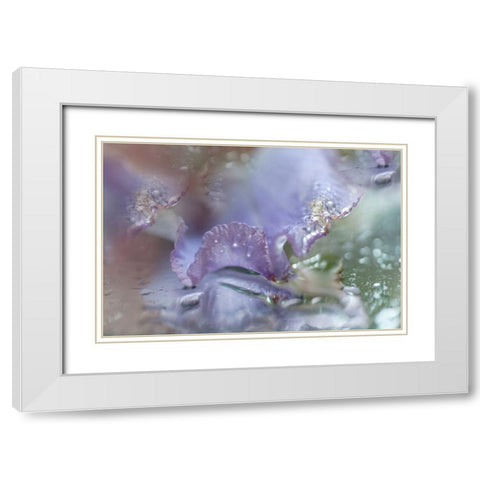 Morning Diamonds Iris Macro 1 White Modern Wood Framed Art Print with Double Matting by Jenny Rainbow Fine Art