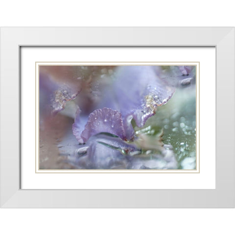 Morning Diamonds Iris Macro 1 White Modern Wood Framed Art Print with Double Matting by Jenny Rainbow Fine Art