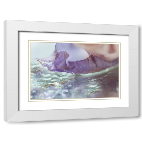 Morning Diamonds Iris Macro 2 White Modern Wood Framed Art Print with Double Matting by Jenny Rainbow Fine Art