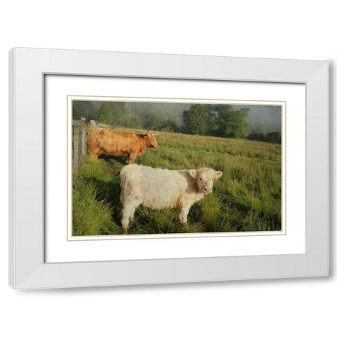 Essential Rural Life White Modern Wood Framed Art Print with Double Matting by Jenny Rainbow Fine Art