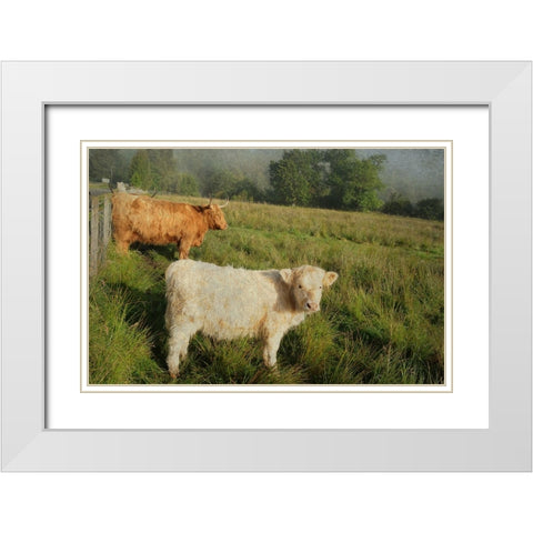 Essential Rural Life White Modern Wood Framed Art Print with Double Matting by Jenny Rainbow Fine Art