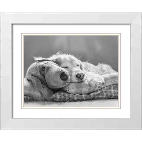Dog Sleeping with Friend White Modern Wood Framed Art Print with Double Matting by Schell, Jennie Marie