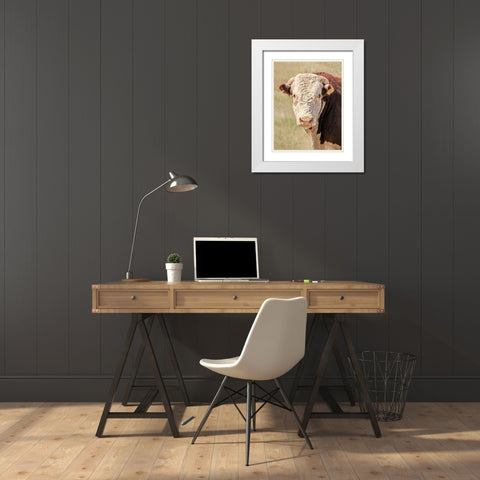 Hereford Bull Color White Modern Wood Framed Art Print with Double Matting by Schell, Jennie Marie