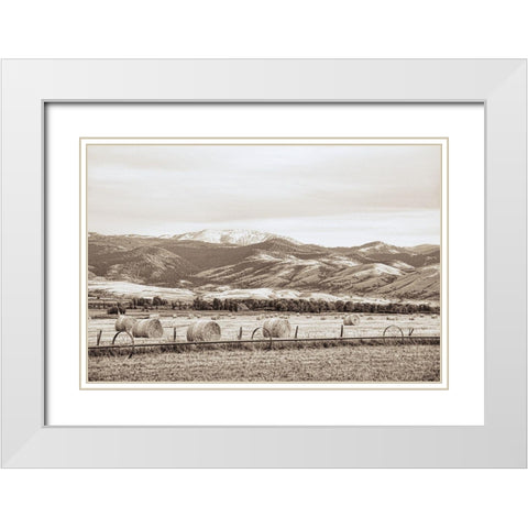 Montana Hayfield White Modern Wood Framed Art Print with Double Matting by Schell, Jennie Marie