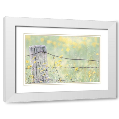 Wildflowers By Fence Post Color White Modern Wood Framed Art Print with Double Matting by Schell, Jennie Marie