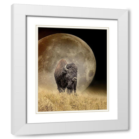 Buffalo Bison and Moon White Modern Wood Framed Art Print with Double Matting by Schell, Jennie Marie