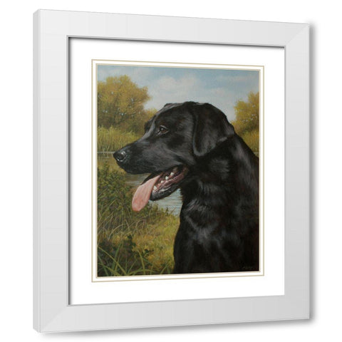 C973 Labrador by the Pool White Modern Wood Framed Art Print with Double Matting by Silver, John