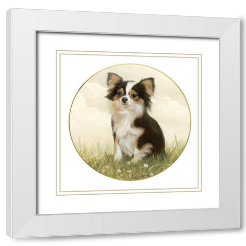 Chihuahua #4 White Modern Wood Framed Art Print with Double Matting by Silver, John