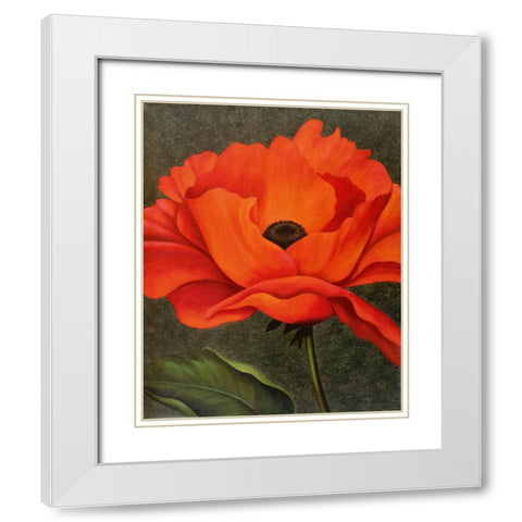 Red Poppy White Modern Wood Framed Art Print with Double Matting by Zaccheo, John