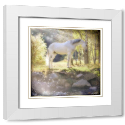 Your My Prince White Modern Wood Framed Art Print with Double Matting by LightBoxJournal