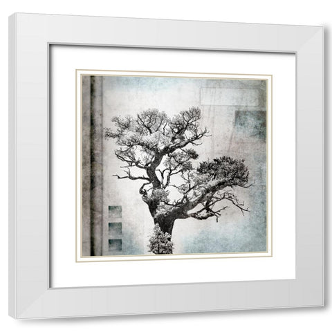 August Tree 4 White Modern Wood Framed Art Print with Double Matting by LightBoxJournal