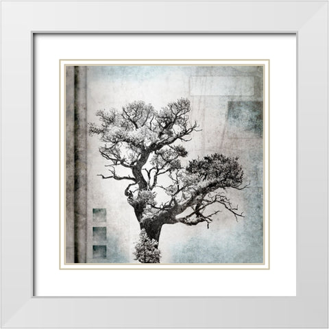 August Tree 4 White Modern Wood Framed Art Print with Double Matting by LightBoxJournal