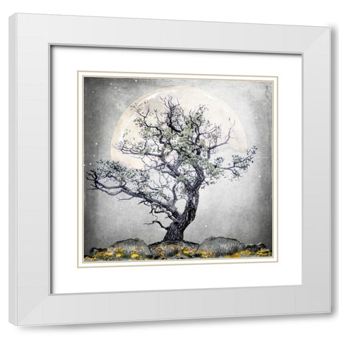 August Tree 5 White Modern Wood Framed Art Print with Double Matting by LightBoxJournal