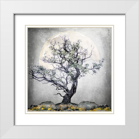 August Tree 5 White Modern Wood Framed Art Print with Double Matting by LightBoxJournal