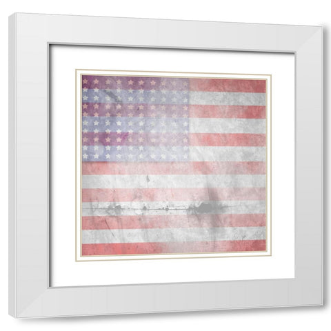 American Born Free Sign Collection V7 White Modern Wood Framed Art Print with Double Matting by LightBoxJournal