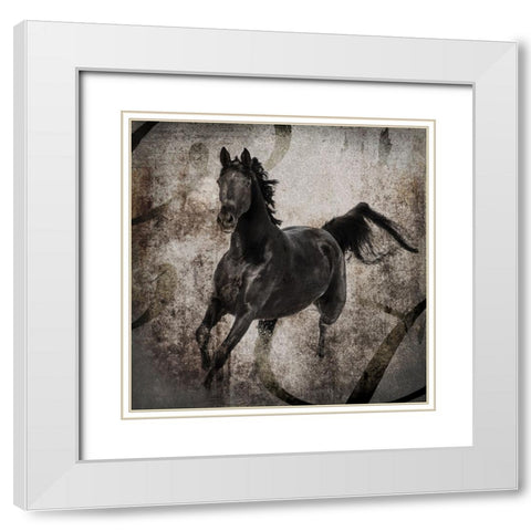 GypsyHorse Collection V1 3 White Modern Wood Framed Art Print with Double Matting by LightBoxJournal