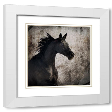 GypsyHorse Collection V1 4 White Modern Wood Framed Art Print with Double Matting by LightBoxJournal