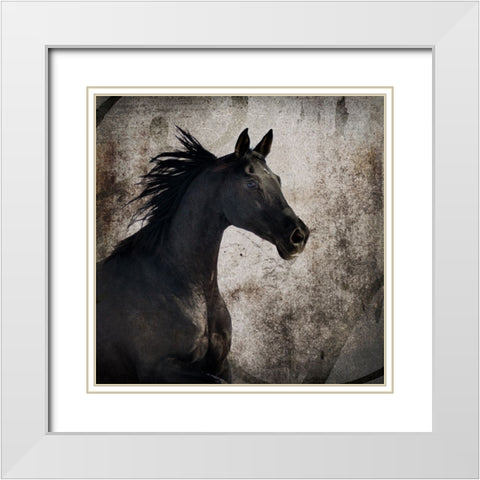 GypsyHorse Collection V1 4 White Modern Wood Framed Art Print with Double Matting by LightBoxJournal