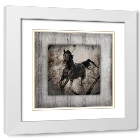 GypsyHorse Collection V1 6 White Modern Wood Framed Art Print with Double Matting by LightBoxJournal
