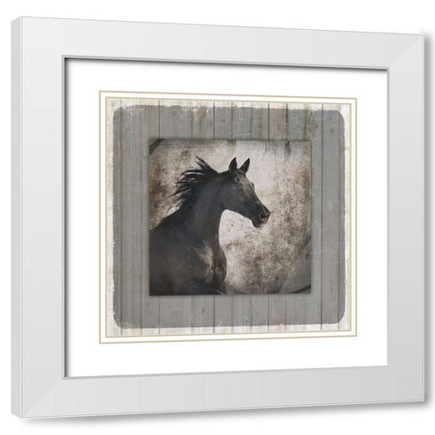 GypsyHorse Collection V1 10 White Modern Wood Framed Art Print with Double Matting by LightBoxJournal