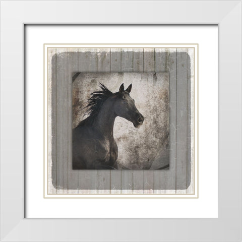 GypsyHorse Collection V1 10 White Modern Wood Framed Art Print with Double Matting by LightBoxJournal