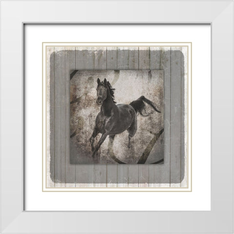 GypsyHorse Collection V1 11 White Modern Wood Framed Art Print with Double Matting by LightBoxJournal