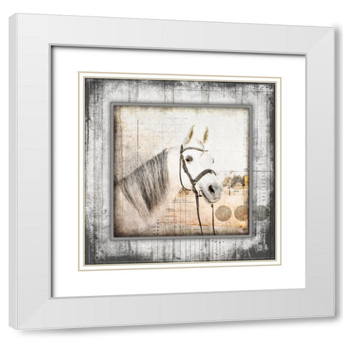 MyFarmMyWay V6 3 White Modern Wood Framed Art Print with Double Matting by LightBoxJournal