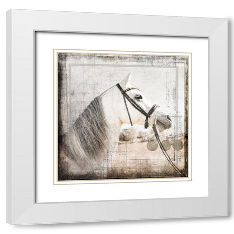MyFarmMyWay V6 5 White Modern Wood Framed Art Print with Double Matting by LightBoxJournal
