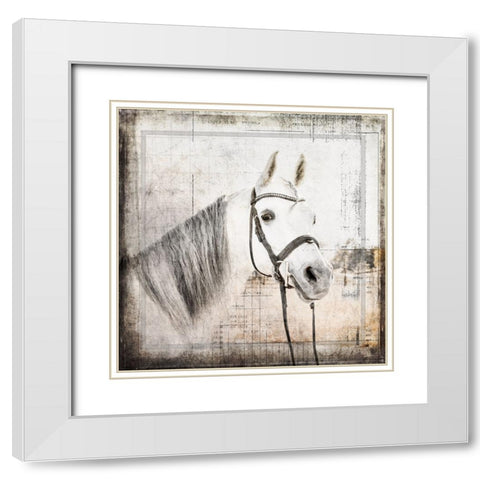 MyFarmMyWay V6 6 White Modern Wood Framed Art Print with Double Matting by LightBoxJournal
