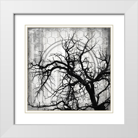 MyFarmMyWay V10 V1 White Modern Wood Framed Art Print with Double Matting by LightBoxJournal