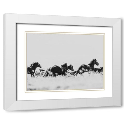 Wild Horses of the Great Basin 00 White Modern Wood Framed Art Print with Double Matting by LightBoxJournal