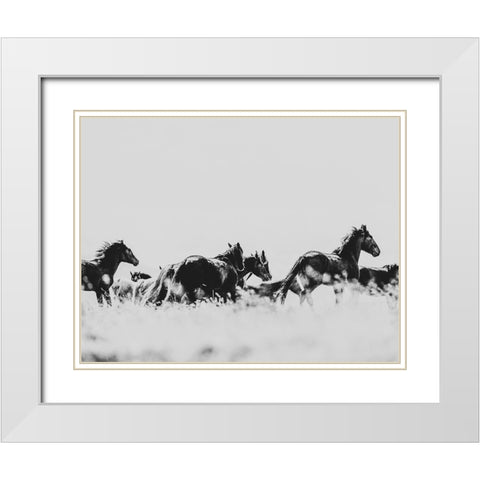 Wild Horses of the Great Basin 00 White Modern Wood Framed Art Print with Double Matting by LightBoxJournal