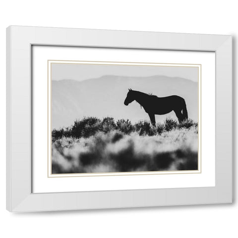 Wild Horses of the Great Basin 02 White Modern Wood Framed Art Print with Double Matting by LightBoxJournal