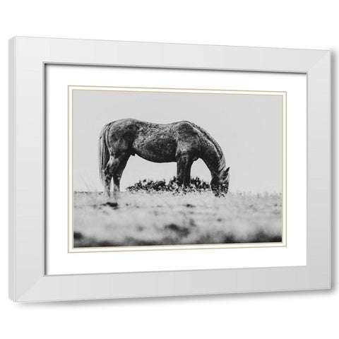 Wild Horses of the Great Basin 03 White Modern Wood Framed Art Print with Double Matting by LightBoxJournal