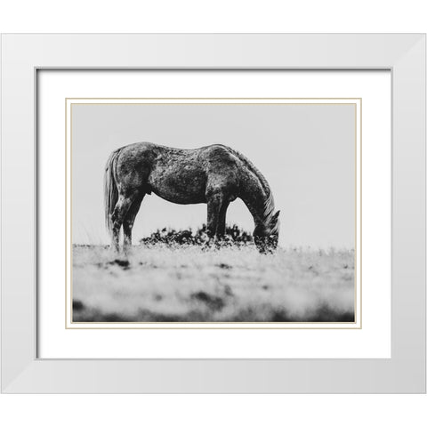 Wild Horses of the Great Basin 03 White Modern Wood Framed Art Print with Double Matting by LightBoxJournal