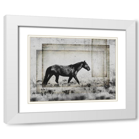 Wild Horses of the Great Basin 05 White Modern Wood Framed Art Print with Double Matting by LightBoxJournal