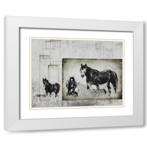 Wild Horses of the Great Basin 07 White Modern Wood Framed Art Print with Double Matting by LightBoxJournal