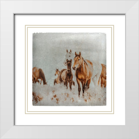 Wild Horses of the Great Basin Lomography 06 White Modern Wood Framed Art Print with Double Matting by LightBoxJournal