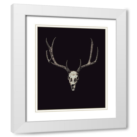 The Rustic Antler 04 White Modern Wood Framed Art Print with Double Matting by LightBoxJournal