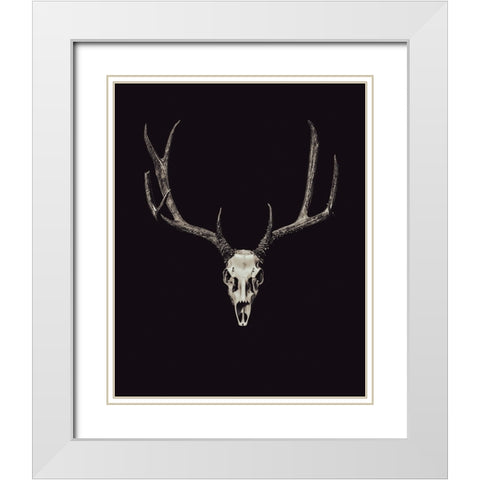 The Rustic Antler 04 White Modern Wood Framed Art Print with Double Matting by LightBoxJournal