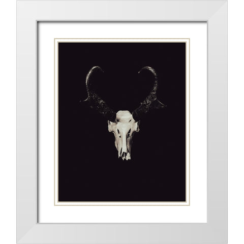 The Rustic Antler 05 White Modern Wood Framed Art Print with Double Matting by LightBoxJournal