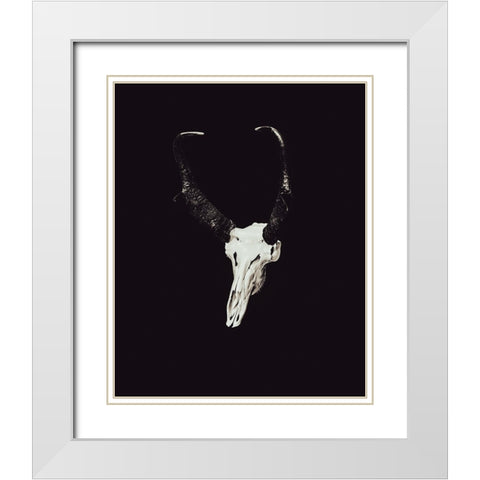 The Rustic Antler 07 White Modern Wood Framed Art Print with Double Matting by LightBoxJournal