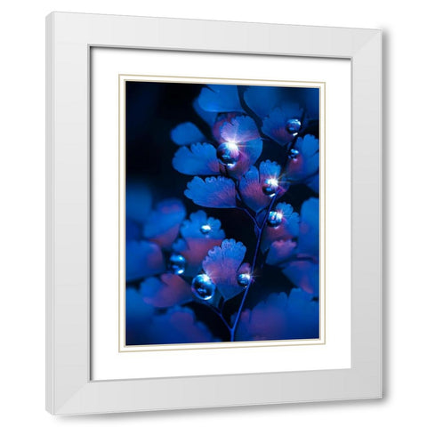 IMG_7587 White Modern Wood Framed Art Print with Double Matting by Love Grams