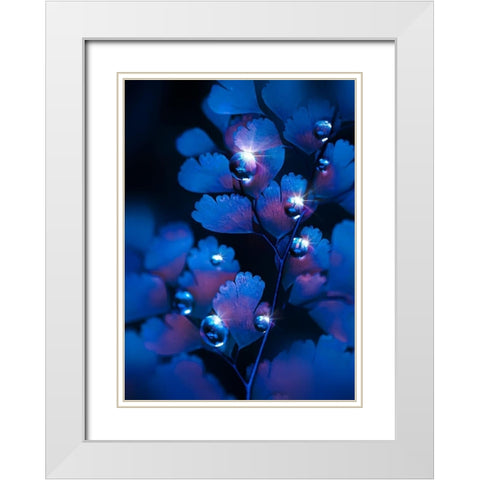 IMG_7587 White Modern Wood Framed Art Print with Double Matting by Love Grams