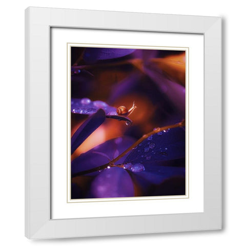 IMG_7588 White Modern Wood Framed Art Print with Double Matting by Love Grams