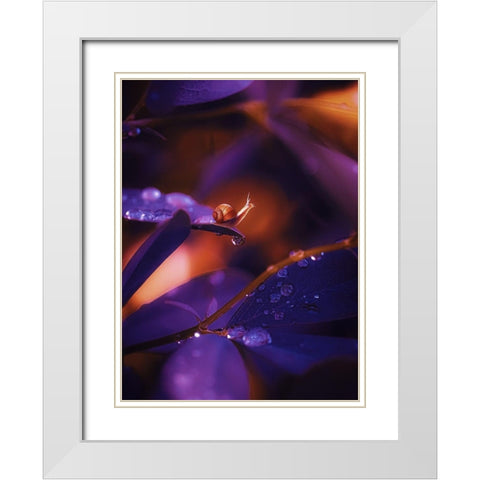 IMG_7588 White Modern Wood Framed Art Print with Double Matting by Love Grams