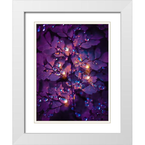 IMG_7591 White Modern Wood Framed Art Print with Double Matting by Love Grams