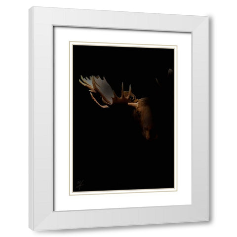 Moose Staredown White Modern Wood Framed Art Print with Double Matting by Murray Henderson Fine Art