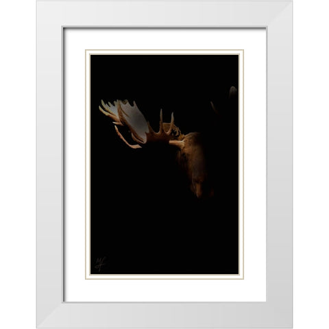 Moose Staredown White Modern Wood Framed Art Print with Double Matting by Murray Henderson Fine Art