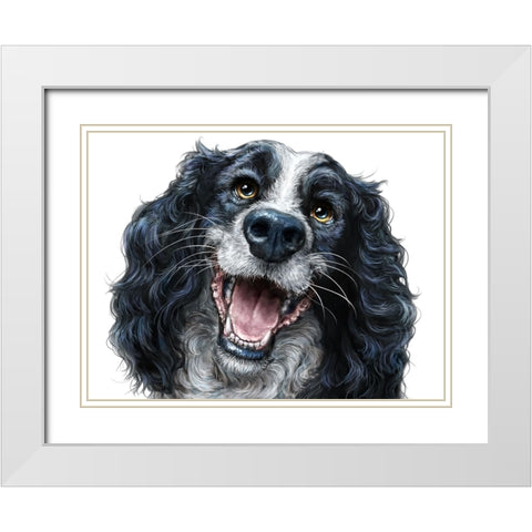 Springer Spaniel White Modern Wood Framed Art Print with Double Matting by LaMontagne, Patrick